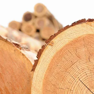 こだわり2（素材）